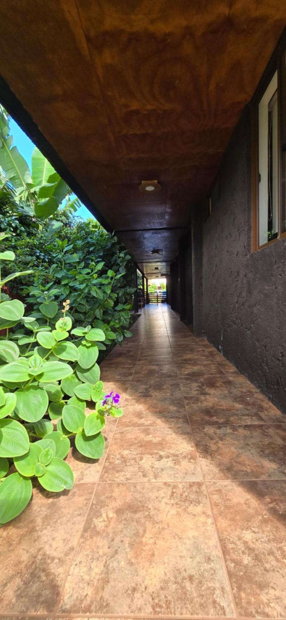 Apartamentos Tupuna Lodge Hanga Roa Zimmer foto